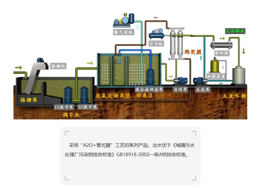 详情页_02.jpg