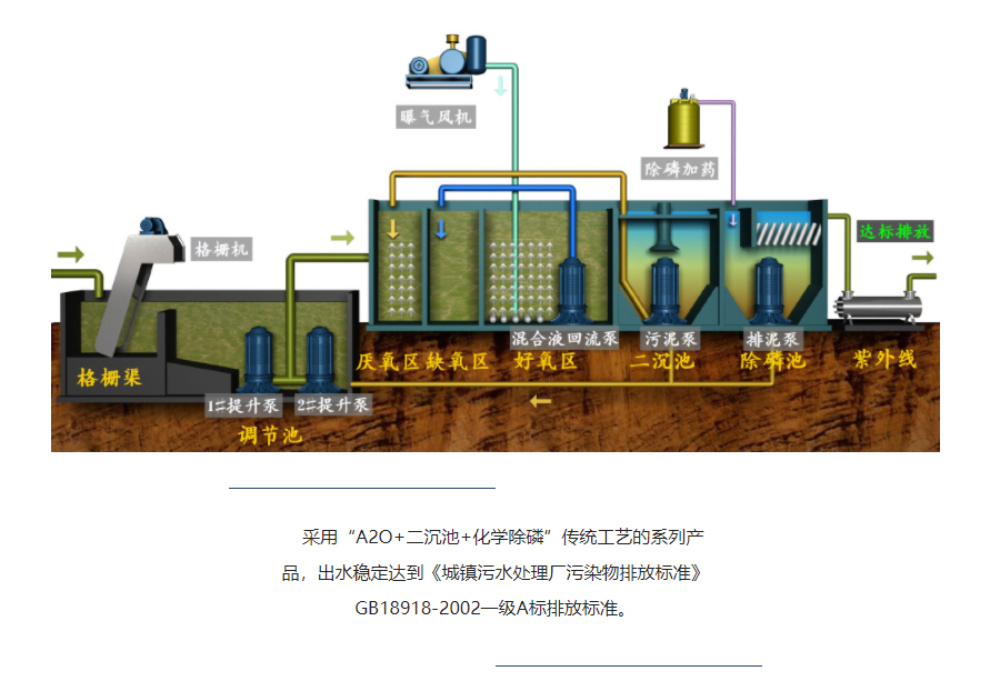 详情页_02.jpg